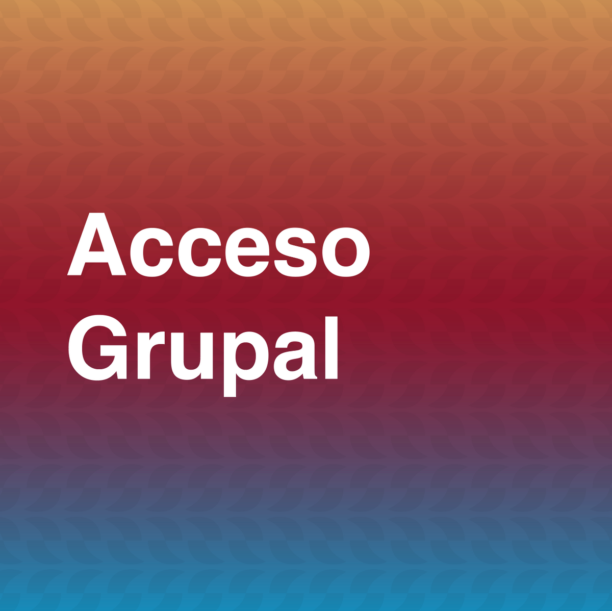 Paquete Grupal - 20 personas